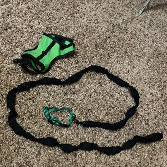 ✨Host Pick ✨ All things Guinea pigs. - Picture 10 of 10